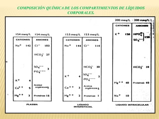 COMPOSICIÓN QUÍMICA DE LOS COMPARTIMIENTOS DE LÍQUIDOS
CORPORALES.
 