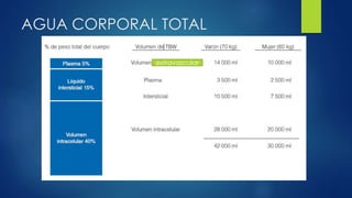 AGUA CORPORAL TOTAL
extravascular
 