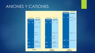 ANIONES Y CATIONES
 