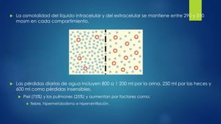  La osmolalidad del líquido intracelular y del extracelular se mantiene entre 290 y 310
mosm en cada compartimiento.
 Las pérdidas diarias de agua incluyen 800 a 1 200 ml por la orina, 250 ml por las heces y
600 ml como pérdidas insensibles.
 Piel (75%) y los pulmones (25%) y aumentan por factores como:
 fiebre, hipermetabolismo e hiperventilación.
 