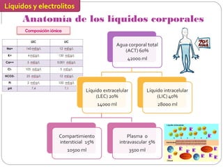 Líquidos y electrolitos
Anatomía de los líquidos corporales