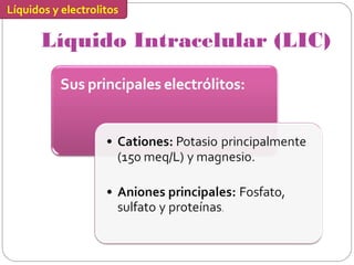 Líquidos y electrolitos 
Líquido Intracelular (LIC) 
 
