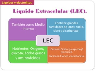 Líquidos y electrolitos
Líquido Extracelular (LEC).