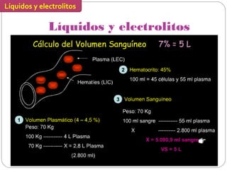 Líquidos y electrolitos
Líquidos y electrolitos