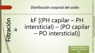 Distribución corporal del sodio
Filtración
=
kF [(PH capilar – PH
intersticial) – (PO capilar
– PO intersticial)]
Producto...