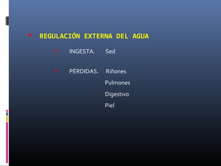  REGULACIÓN EXTERNA DEL AGUA
• INGESTA. Sed
• PÉRDIDAS. Riñones
Pulmones
Digestivo
Piel
 