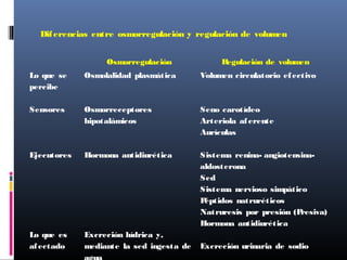 Diferencias entre osmorregulación y regulación de volumen
Osmorregulación Regulación de volumen
Lo que se
percibe
Sensores
Ejecutores
Lo que es
afectado
Osmolalidad plasmática
Osmorreceptores
hipotalámicos
Hormona antidiurética
Excreción hídrica y,
mediante la sed ingesta de
Volumen circulatorio efectivo
Seno carotídeo
Arteriola aferente
Aurículas
Sistema renina- angiotensina-
aldosterona
Sed
Sistema nervioso simpático
Péptidos natruréticos
Natruresis por presión (Presiva)
Hormona antidiurética
Excreción urinaria de sodio
 