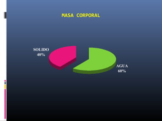 MASA CORPORAL
AGUA
60%
SOLIDO
40%
 