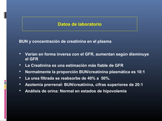 Datos de laboratorio
BUN y concentración de creatinina en el plasma
 Varían en forma inversa con el GFR, aumentan según disminuye
el GFR
 La Creatinina es una estimación más fiable de GFR
 Normalmente la proporción BUN/creatinina plasmática es 10:1
 La urea filtrada se reabsorbe de 40% a 50%.
 Azotemia prerrenal: BUN/creatinina, cifras superiores de 20:1
 Análisis de orina: Normal en estados de hipovolemia
 