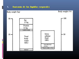 1. Anatomía de los líquidos corporales
 