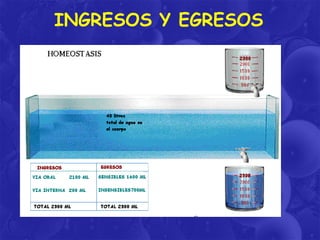 INGRESOS Y EGRESOS

 