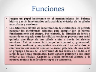 Funciones
• Juegan un papel importante en el mantenimiento del balance
hídrico y están involucrados en la actividad eléctrica de las células
musculares y nerviosas.
• Los diferentes niveles de concentración de electrolitos les permite
penetrar las membranas celulares para cumplir con el normal
funcionamiento del cuerpo. Por ejemplo, la difusión de iones a
través de un espacio entre las células nerviosas provoca una señal
química que fluye de una célula a otra a través del sistema
nervioso. Así es como tu cuerpo se comunica, provocando
funciones motoras y respuestas sensoriales. Los músculos se
contraen en una manera similar: la acción potencial de una señal
se propaga a través de la activación de los canales de sodio a lo
largo de las fibras musculares. Estos canales permiten a los iones
entrar a las células. Cuando la acción potencial alcanza a la
neurona motora, tu músculo es capaz de contraerse.

 