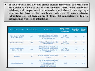 •

El agua corporal esta dividida en dos grandes reservas: el compartimento
intracelular, que incluye toda el agua contenida dentro de las membranas
celulares; y el compartimento extracelular, que incluye toda el agua que
se encuentra fuera de las membranas celulares. El agua anatómica
extracelular está subdividida en el plasma, (el compartimento de agua
intravascular) y el fluido intersticial.

 