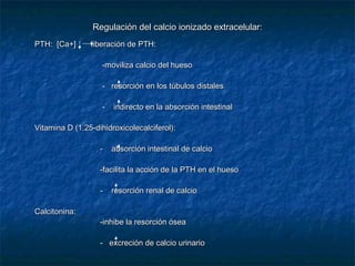 Regulación del calcio ionizado extracelular:Regulación del calcio ionizado extracelular:
- PTH: [Ca+] liberación de PTH:PTH: [Ca+] liberación de PTH:
-moviliza calcio del hueso-moviliza calcio del hueso
- resorción en los túbulos distales- resorción en los túbulos distales
- indirecto en la absorción intestinal- indirecto en la absorción intestinal
- Vitamina D (1.25-dihidroxicolecalciferol):Vitamina D (1.25-dihidroxicolecalciferol):
- absorción intestinal de calcio- absorción intestinal de calcio
-facilita la acción de la PTH en el hueso-facilita la acción de la PTH en el hueso
- resorción renal de calcio- resorción renal de calcio
- Calcitonina:Calcitonina:
-inhibe la resorción ósea-inhibe la resorción ósea
- excreción de calcio urinario- excreción de calcio urinario
 