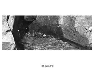 100_0277.JPG
 