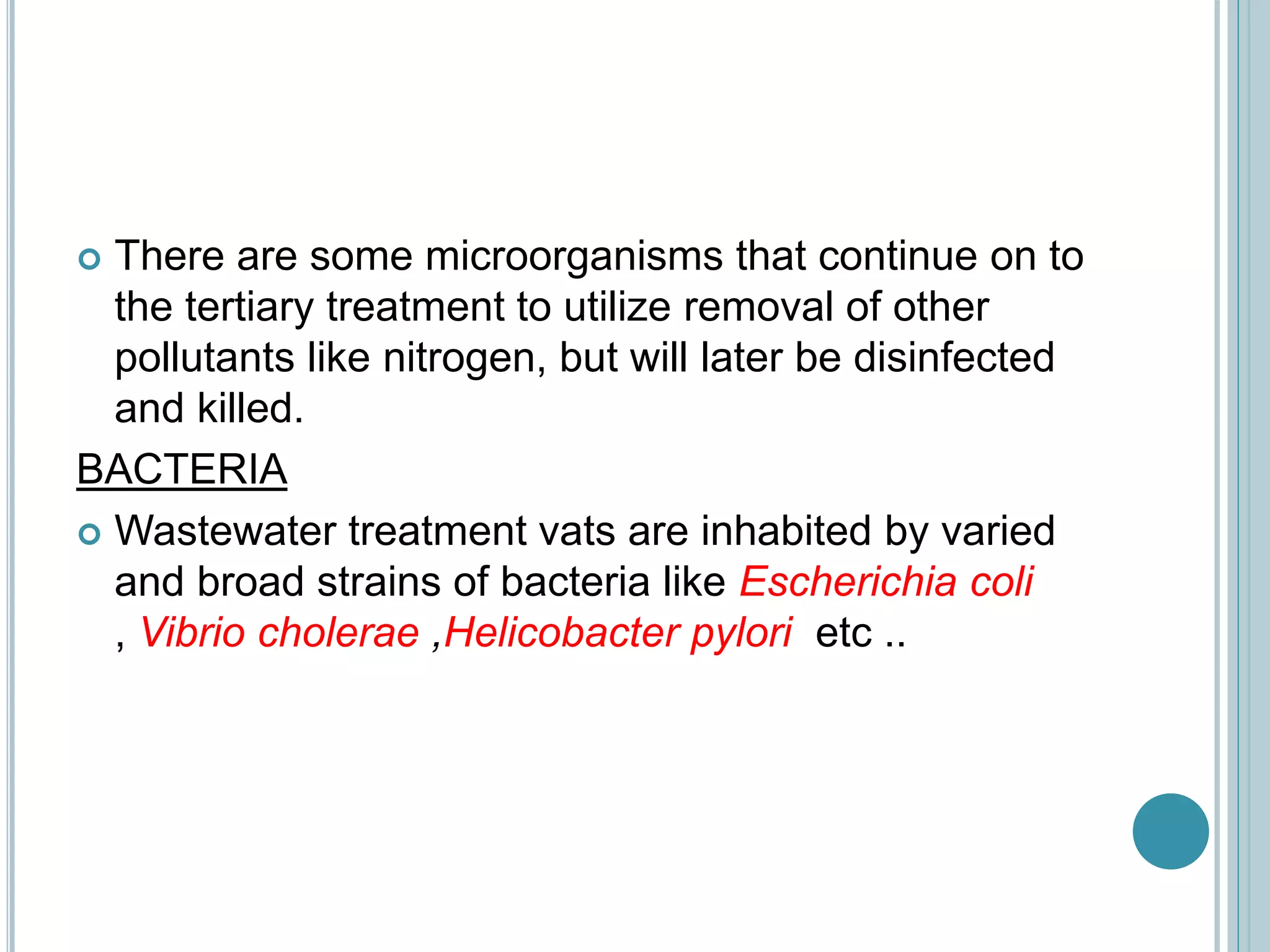  There are some microorganisms that continue on to
the tertiary treatment to utilize removal of other
pollutants like nitrogen, but will later be disinfected
and killed.
BACTERIA
 Wastewater treatment vats are inhabited by varied
and broad strains of bacteria like Escherichia coli
, Vibrio cholerae ,Helicobacter pylori etc ..
 