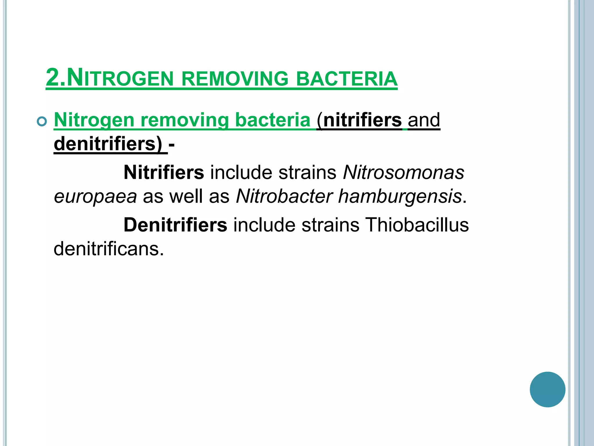 2.NITROGEN REMOVING BACTERIA
 Nitrogen removing bacteria (nitrifiers and
denitrifiers) -
Nitrifiers include strains Nitrosomonas
europaea as well as Nitrobacter hamburgensis.
Denitrifiers include strains Thiobacillus
denitrificans.
 
