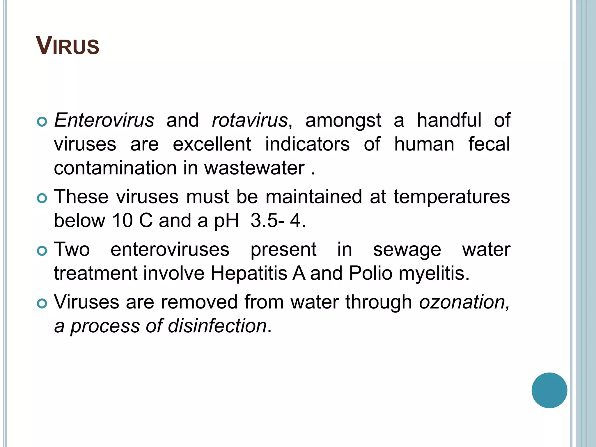 VIRUS
 Enterovirus and rotavirus, amongst a handful of
viruses are excellent indicators of human fecal
contamination in wastewater .
 These viruses must be maintained at temperatures
below 10 C and a pH 3.5- 4.
 Two enteroviruses present in sewage water
treatment involve Hepatitis A and Polio myelitis.
 Viruses are removed from water through ozonation,
a process of disinfection.
 