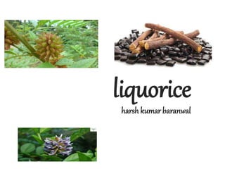 liquorice
harsh kumar baranwal
 