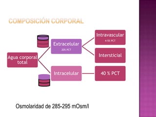 Intravascular
                                       4-5% PCT
                 Extracelular
                     20% PCT


Agua corporal                       Intersticial
    total

                  Intracelular       40 % PCT




   Osmolaridad de 285-295 mOsm/l
 