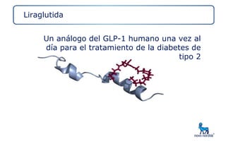 Liraglutida


     Un análogo del GLP-1 humano una vez al
     día para el tratamiento de la diabetes de
                                        tipo 2
 