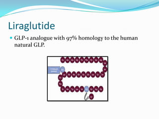 liraglutide glp 1 analogue Liraglutide 1
