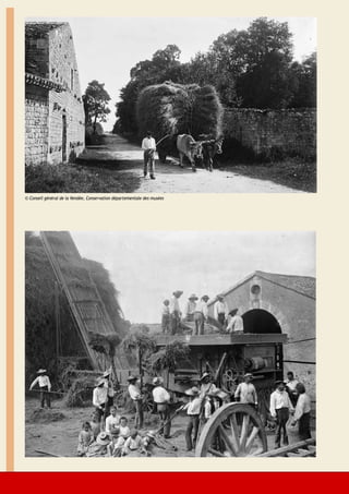 © Conseil général de la Vendée, Conservation départementale des musées




22                                                                      Lire en Vendée - Échos-Musées -Lire en Vendée - juin 2010 - décembre 2010
 