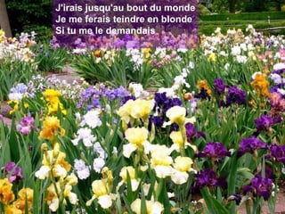 J'irais jusqu'au bout du monde Je me ferais teindre en blonde Si tu me le demandais 