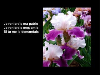 Je renierais ma patrie Je renierais mes amis Si tu me le demandais 