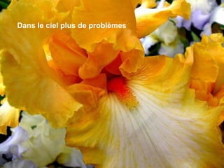 Dans le ciel plus de problèmes 