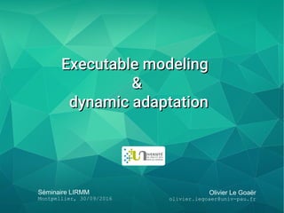Olivier Le Goaër
olivier.legoaer@univ-pau.fr
Séminaire LIRMM
Montpellier, 30/09/2016
Executable modelingExecutable modeling
&&
dynamic adaptationdynamic adaptation
 