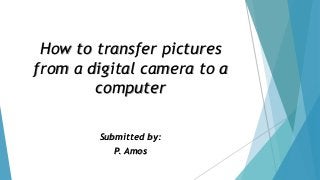 How to transfer pictures from a digital camera to a computer 
Submitted by: 
P. Amos  