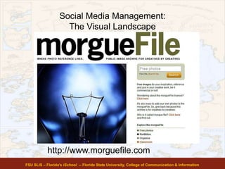 Social Media Management:
The Visual Landscape
FSU SLIS – Florida’s iSchool -- Florida State University, College of Communication & Information
http://www.morguefile.com
 