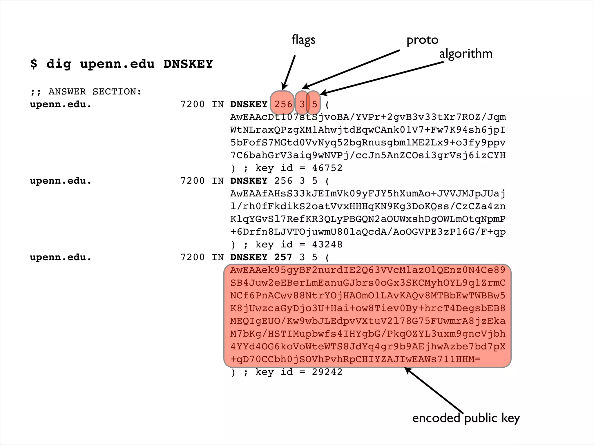 $ dig upenn.edu DNSKEY
;; ANSWER SECTION:
upenn.edu. 7200 IN DNSKEY 256 3 5 (
AwEAAcDt107stSjvoBA/YVPr+2gvB3v33tXr7ROZ/Jqm
WtNLraxQPzgXM1AhwjtdEqwCAnk01V7+Fw7K94sh6jpI
5bFofS7MGtd0VvNyq52bgRnusgbm1ME2Lx9+o3fy9ppv
7C6bahGrV3aiq9wNVPj/ccJn5AnZCOsi3grVsj6izCYH
) ; key id = 46752
upenn.edu. 7200 IN DNSKEY 256 3 5 (
AwEAAfAHsS33kJEImVk09yFJY5hXumAo+JVVJMJpJUaj
l/rh0fFkdikS2oatVvxHHHqKN9Kg3DoKQss/CzCZa4zn
KlqYGvSl7RefKR3QLyPBGQN2aOUWxshDgOWLmOtqNpmP
+6Drfn8LJVTOjuwmU80laQcdA/AoOGVPE3zP16G/F+qp
) ; key id = 43248
upenn.edu. 7200 IN DNSKEY 257 3 5 (
AwEAAek95gyBF2nurdIE2Q63VVcMlazOlQEnz0N4Ce89
SB4Juw2eEBerLmEanuGJbrs0oGx3SKCMyhOYL9q1ZrmC
NCf6PnACwv88NtrYOjHAOmOlLAvKAQv8MTBbEwTWBBw5
K8jUwzcaGyDjo3U+Hai+ow8Tiev0By+hrcT4DegsbEB8
MEQIgEUO/Kw9wbJLEdpvVXtuV2l78G75FUwmrA8jzEka
M7bKg/HSTIMupbwfs4IHYgbG/PkqOZYL3uxm9gncVjbh
4YYd4OG6koVoWteWTS8JdYq4gr9b9AEjhwAzbe7bd7pX
+qD70CCbh0jSOVhPvhRpCHIYZAJIwEAWs711HHM=
) ; key id = 29242
algorithm
ﬂags proto
encoded public key
 