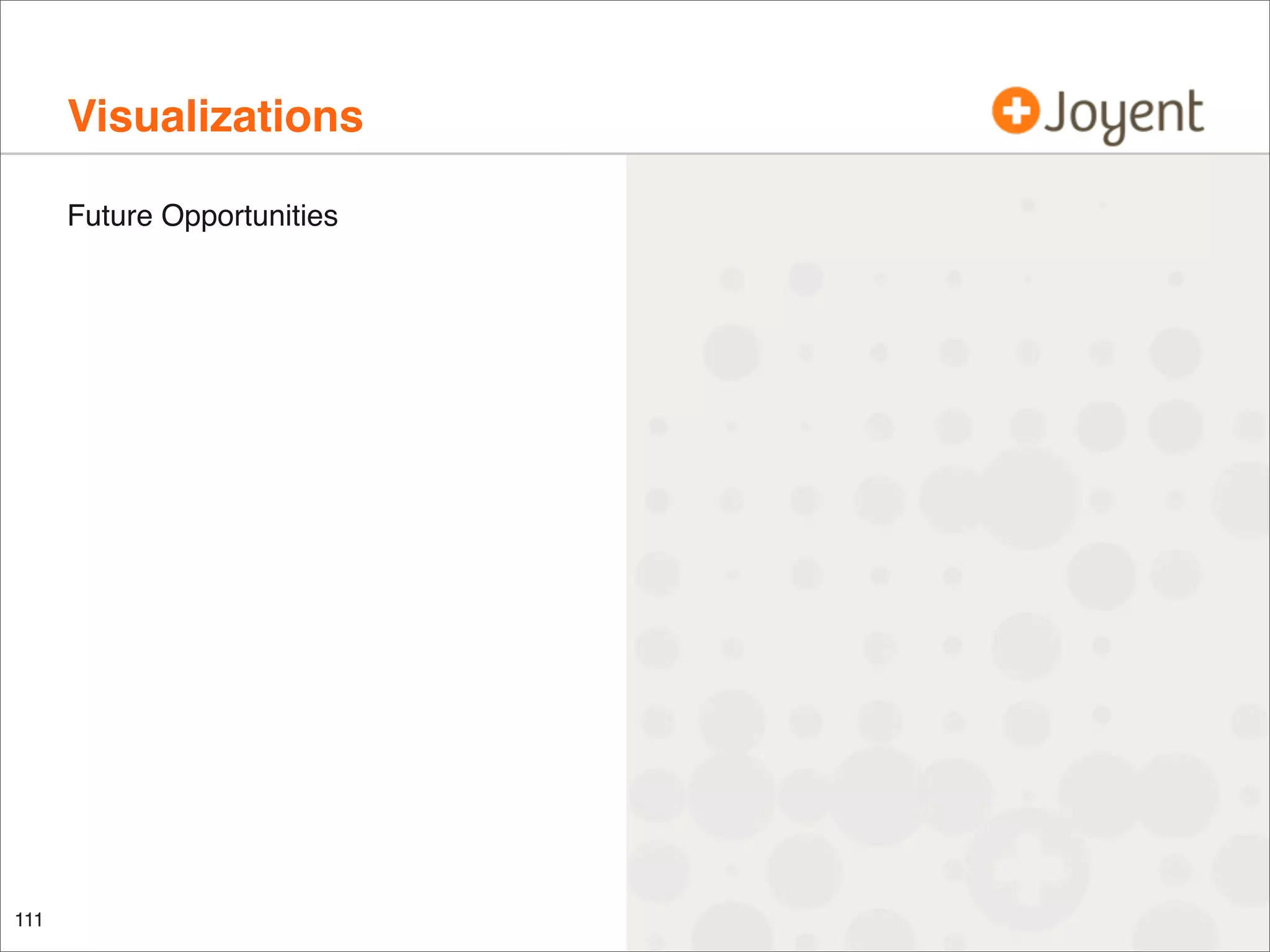 Visualizations
Future Opportunities

111

 