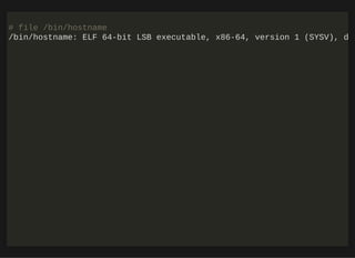 http://bit.ly/33NpWEk
# file /bin/hostname
/bin/hostname: ELF 64-bit LSB executable, x86-64, version 1 (SYSV), d
 