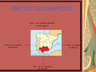 LÍMITES GEOGRÁFICOS
Norte : con Castilla la Mancha
y Extremadura
Este: con Región
de Murcia.
Sur : con el Estrecho
de Gibraltar
Oeste: con el estado
de Portugal.
 