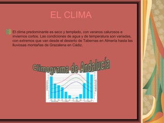 EL CLIMA
El clima predominante es seco y templado, con veranos calurosos e
inviernos cortos. Las condiciones de agua y de temperatura son variadas,
con extremos que van desde el desierto de Tabernas en Almería hasta las
lluviosas montañas de Grazalena en Cádiz.
 