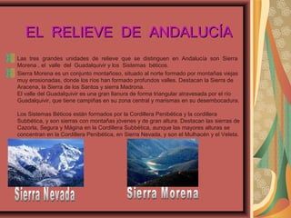 EL RELIEVE DE ANDALUCÍAEL RELIEVE DE ANDALUCÍA
Las tres grandes unidades de relieve que se distinguen en Andalucía son Sierra
Morena , el valle del Guadalquivir y los Sistemas béticos.
Sierra Morena es un conjunto montañoso, situado al norte formado por montañas viejas
muy erosionadas, donde los ríos han formado profundos valles. Destacan la Sierra de
Aracena, la Sierra de los Santos y sierra Madrona.
El valle del Guadalquivir es una gran llanura de forma triangular atravesada por el río
Guadalquivir, que tiene campiñas en su zona central y marismas en su desembocadura.
Los Sistemas Béticos están formados por la Cordillera Penibética y la cordillera
Subbética, y son sierras con montañas jóvenes y de gran altura. Destacan las sierras de
Cazorla, Segura y Mágina en la Cordillera Subbética, aunque las mayores alturas se
concentran en la Cordillera Penibética, en Sierra Nevada, y son el Mulhacén y el Veleta.
 