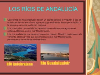 LOS RÍOS DE ANDALUCÍA
Casi todos los ríos andaluces tienen un caudal escaso e irregular, o sea en
ocasiones llevan muchísima agua pero generalmente llevan poca debido a
la sequía y, a veces, no llevan ninguna.
Los principales ríos andaluces desembocan o vierten sus aguas en el
océano Atlántico o en el mar Mediterraneo.
Los ríos andaluces que desembocan en el océano Atlántico pertenecen a la
vertiente atlántica y los que desembocan en el mar Mediterráneo,
pertenecen a la vertiente mediterránea.
 