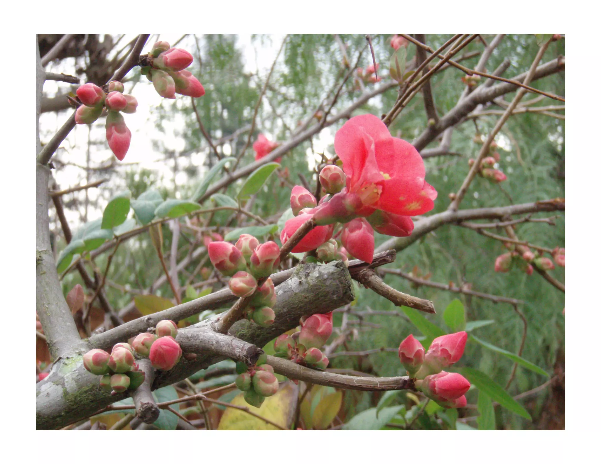 Dr. Lisa Chu on How Teaching Violin to Toddlers Taught Her More than Harvard and Medical School Combined