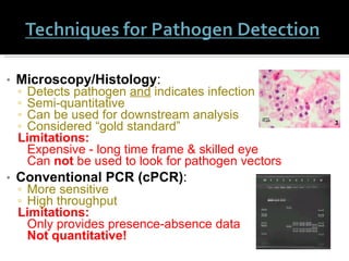 Microscopy/Histology : Detects pathogen  and  indicates infection  Semi-quantitative Can be used for downstream analysis Considered “gold standard” Limitations: Expensive - long time frame & skilled eye Can  not  be used to look for pathogen vectors  Conventional PCR (cPCR) : More sensitive High throughput Limitations: Only provides presence-absence data  Not quantitative! 