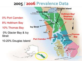 Port Camden  Holkham Bay/ Stephens Passage Glacier Bay Icy Strait Douglas Island 0% Port Camden 8% Holkham Bay 10% Thomas Bay 0% Glacier Bay & Icy Strait 10-20% Douglas Island Thomas Bay 