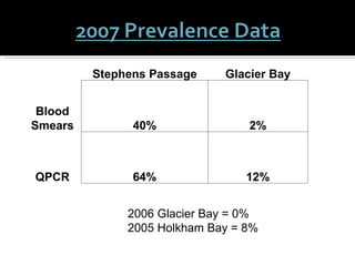 2006 Glacier Bay = 0% 2005 Holkham Bay = 8% Stephens Passage Glacier Bay Blood Smears 40% 2% QPCR 64% 12% 