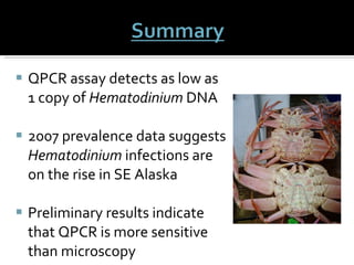 QPCR assay detects as low as 1 copy of  Hematodinium  DNA 2007 prevalence data suggests  Hematodinium  infections are on the rise in SE Alaska Preliminary results indicate that QPCR is more sensitive than microscopy  