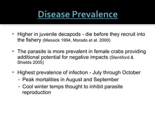 Higher in juvenile decapods - die before they recruit into the fishery  (Messick 1994, Morado et al. 2000)   The parasite is more prevalent in female crabs providing additional potential for negative impacts  (Stentiford & Shields 2005) Highest prevalence of infection - July through October Peak mortalities in August and September Cool winter temps thought to inhibit parasite reproduction 