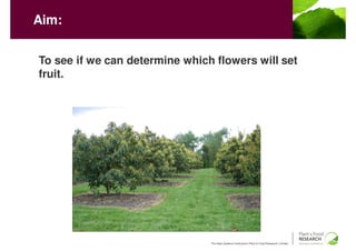 Aim:


To see if we can determine which flowers will set
fruit.




                                The New Zealand Institute for Plant & Food Research Limited
 