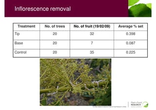 Inflorescence removal

 Treatment   No. of trees   No. of fruit (19/02/09)                                 Average % set

Tip              20                   32                                                         0.398

Base             20                   7                                                          0.087

Control          20                   35                                                         0.225




                                       The New Zealand Institute for Plant & Food Research Limited
 