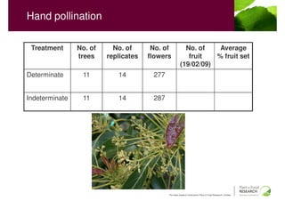 Hand pollination

 Treatment      No. of     No. of      No. of            No. of    Average
                trees    replicates   flowers             fruit   % fruit set
                                                       (19/02/09)
Determinate      11         14         277


Indeterminate    11         14         287




                                             The New Zealand Institute for Plant & Food Research Limited
 