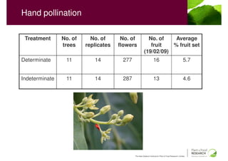 Hand pollination

 Treatment      No. of     No. of      No. of            No. of    Average
                trees    replicates   flowers             fruit   % fruit set
                                                       (19/02/09)
Determinate      11         14         277                        16                                  5.7


Indeterminate    11         14         287                        13                                  4.6




                                             The New Zealand Institute for Plant & Food Research Limited
 
